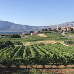 Photo taken by Rosemary L