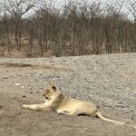 Photo taken by Nigel R