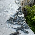 Photo taken by Sharon J