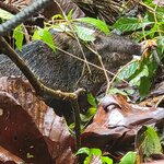 Photo taken by Darla D