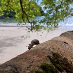 Photo taken by Sarah R