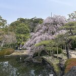 Photo taken by Norma M