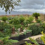 Photo taken by Tom B