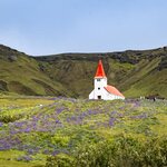 Photo taken by Kim C