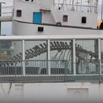 Photo taken by Amanda Z