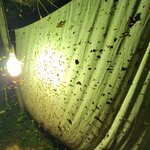 Photo taken by Jeff G