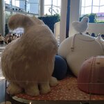 Photo taken by Janice D