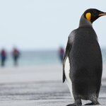 Photo taken by Eric T