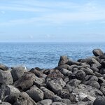 Photo taken by mimi s