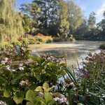 Photo taken by Susan W