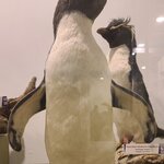 Photo taken by Bao T