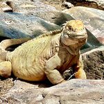 Photo taken by Katherine A