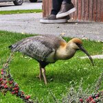 Photo taken by Devon B