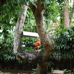 Photo taken by Barry Y