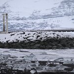 Photo taken by Sally L