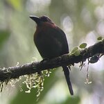 Photo taken by Alexia M