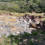 Photo taken by Joy E