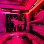 Photo taken by Tamara S