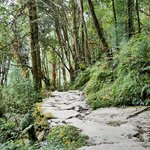 Photo taken by Cesar A