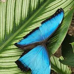 Photo taken by Lee B