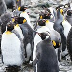 Photo taken by Eric T