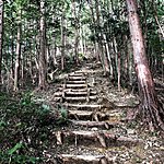 Trail | Photo taken by Joost S