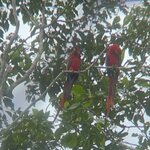 Photo taken by Breann B