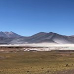 High Desert in Atacama Desert | Photo taken by Melody B