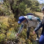 Photo taken by Carine D