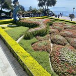 Photo taken by Jacqui O