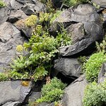 Photo taken by Eliza M