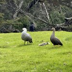 Photo taken by Yelena L