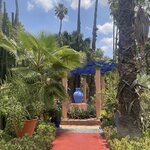 Photo taken by Allison O