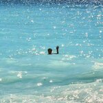 Photo taken by Tom F