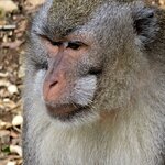 Photo taken by Nancy P