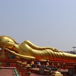 Photo taken by Steve W