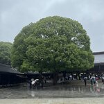 Photo taken by Mallory A