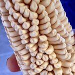 Photo taken by Nancy L