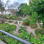 Photo taken by Mollie D