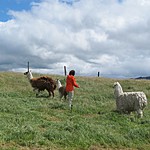 Photo taken by Marcia G