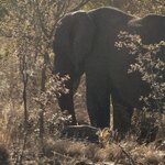 Photo taken by Ingenie D