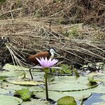 Photo taken by Michael L