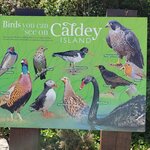 Photo taken by Diane H