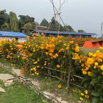 Photo taken by Wayne D