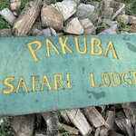 Photo taken by Michael L