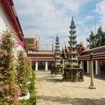 Photo taken by Suprema M