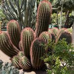 Photo taken by Paula H