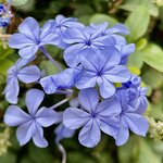 Photo taken by KHEE BOON L