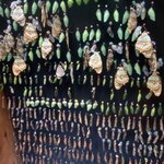 Photo taken by Kim L