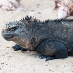 Photo taken by Vinay K